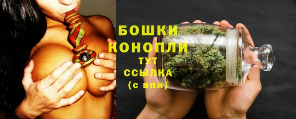 сатива Магас