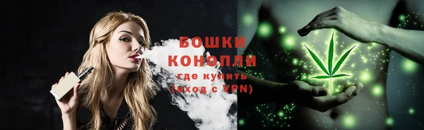 сатива Магас
