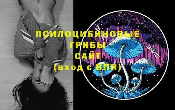 спиды Магадан