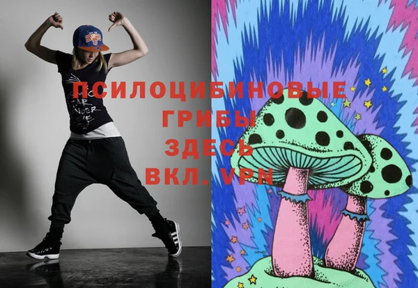 спиды Магадан