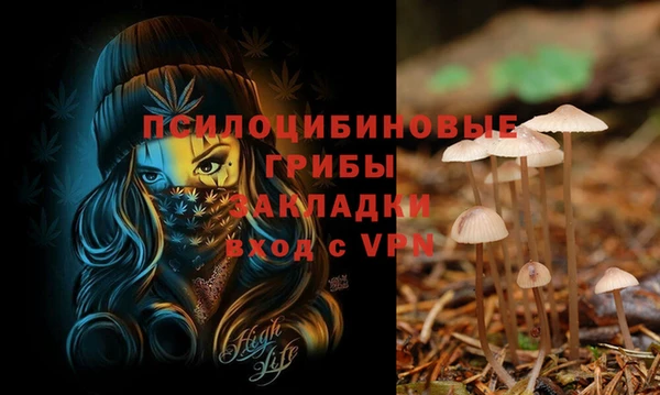 сатива Магас