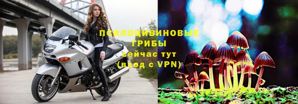 сатива Магас